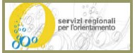 attività per favorire la scelta scolastico-professionale